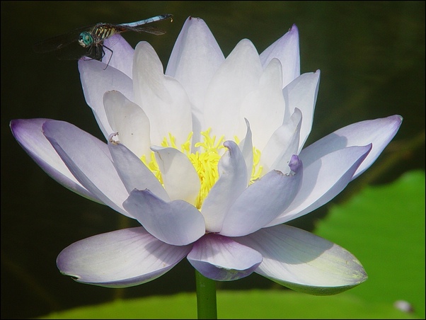 ���߱���