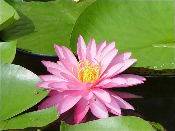 ���߱���