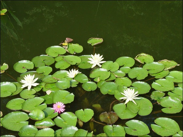 ���߱���