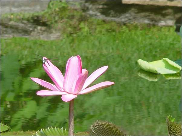 ���߱���