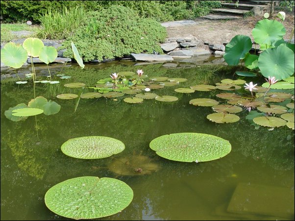 ���߱���