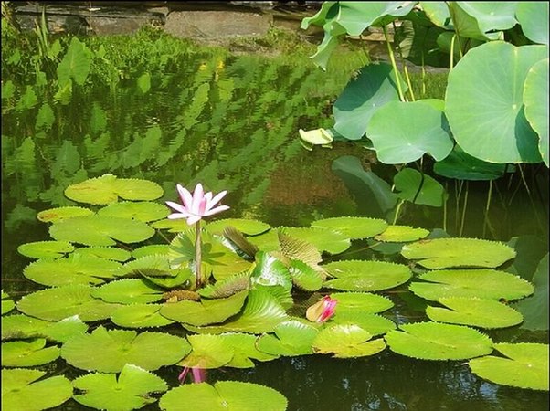 ���߱���