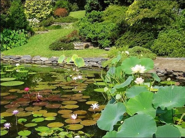 ���߱���