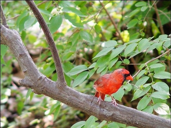 ���߱���