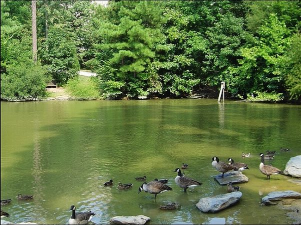 ���߱���