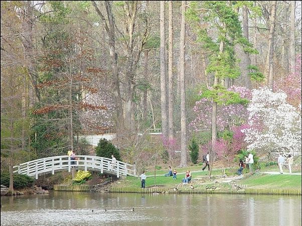 ���߱���