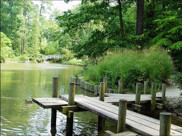 ���߱���