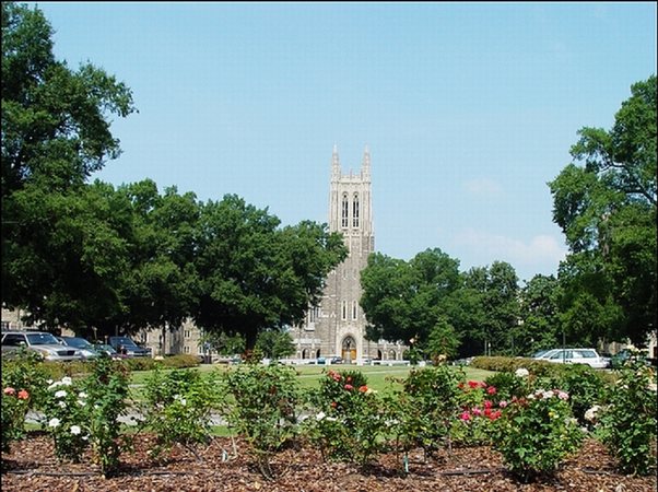 ���߱���