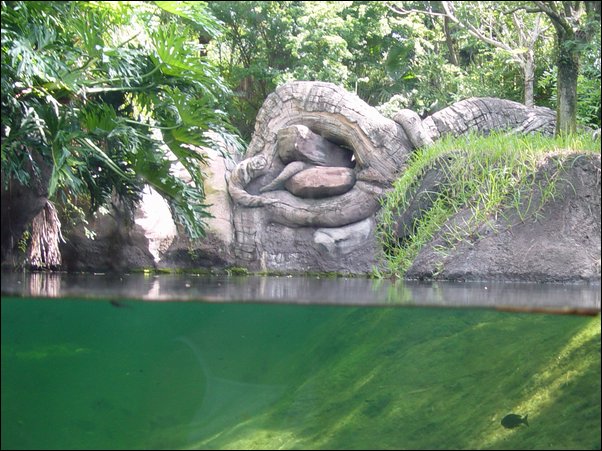 ���߱���