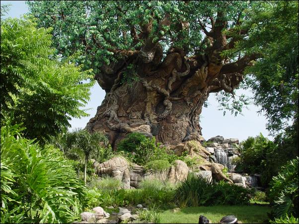 ���߱���