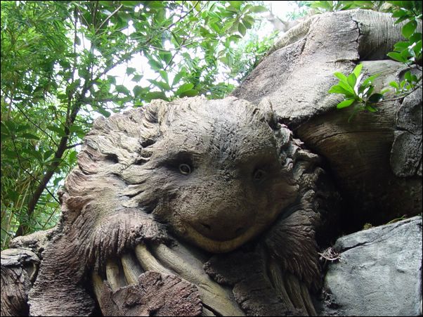 ���߱���