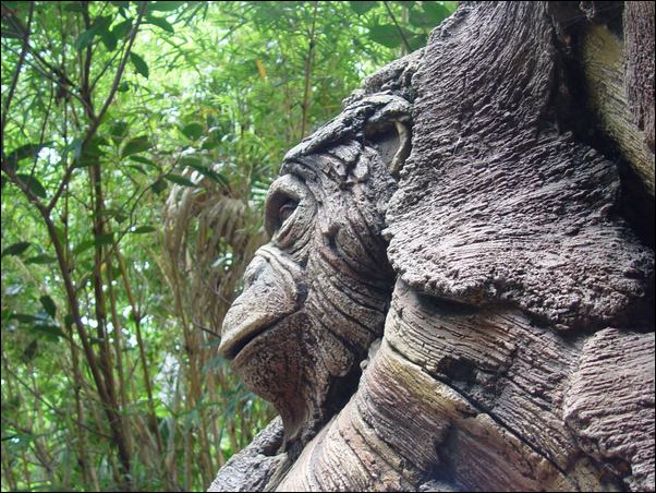 ���߱���