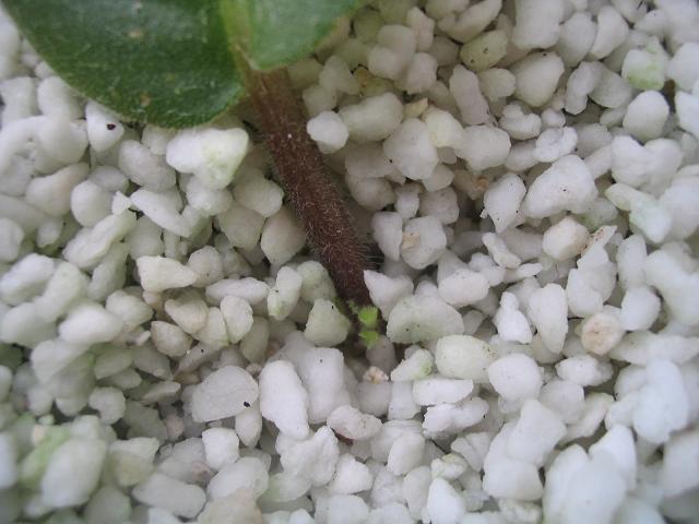 �������ˣ��������翪ʼ����