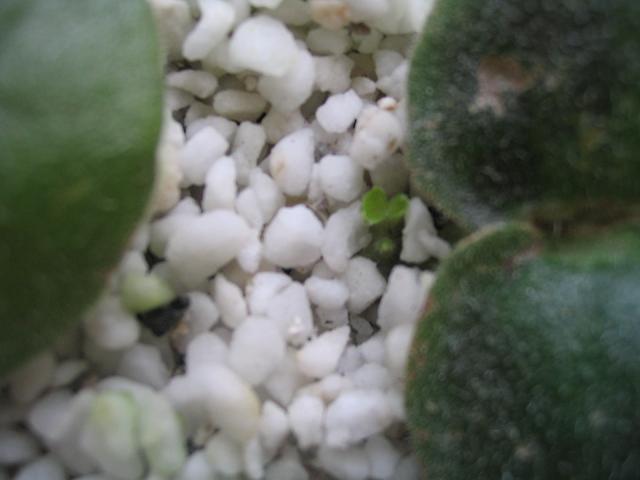 �������ˣ��������翪ʼ����