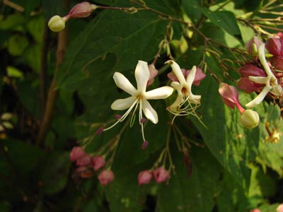 ���������ʲô?������--��Ƭ��ĵط��ĵ�,Ӧ����ͬһ��