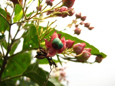 ���������ʲô?������--��Ƭ��ĵط��ĵ�,Ӧ����ͬһ��