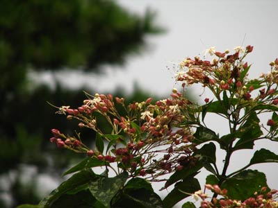 ���������ʲô?������--��Ƭ��ĵط��ĵ�,Ӧ����ͬһ��