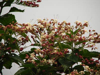 ���������ʲô?������--��Ƭ��ĵط��ĵ�,Ӧ����ͬһ��