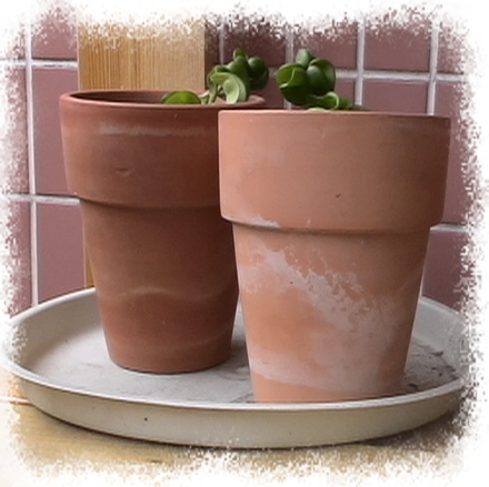 �Ҽҵ�����^..^