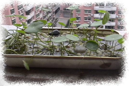 �Ҽҵ�����^..^