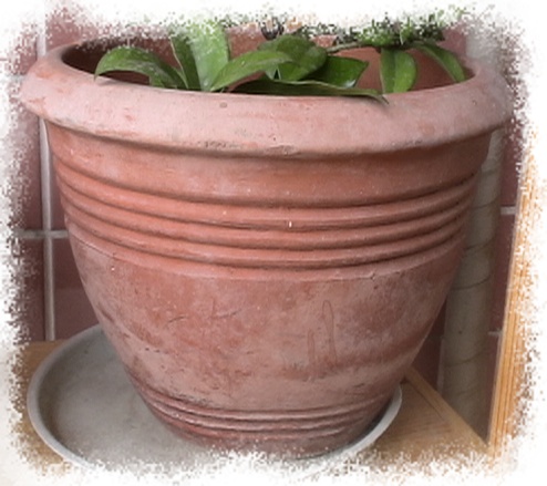 �Ҽҵ�����^..^