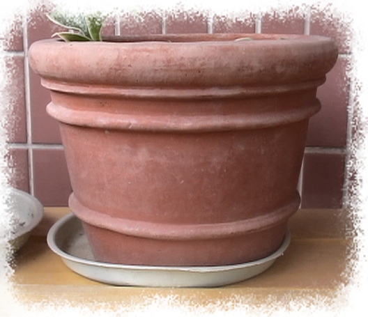 �Ҽҵ�����^..^