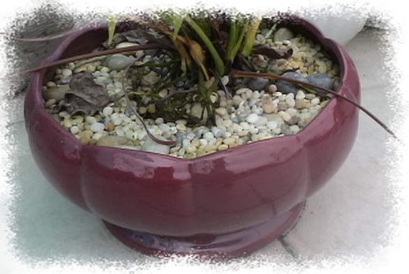 �Ҽҵ�����^..^