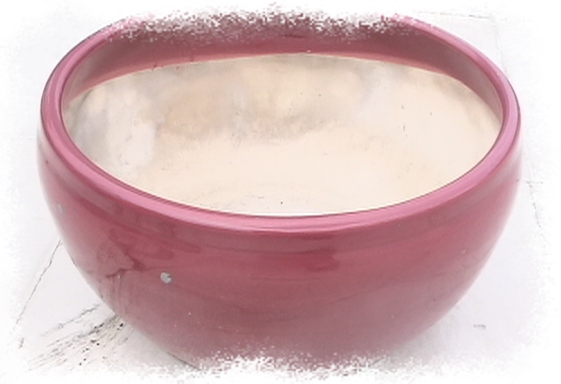 �Ҽҵ�����^..^