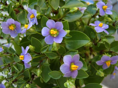 [ԭ��]������,�������