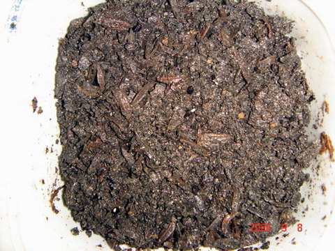 ~�����ռǣ������У�