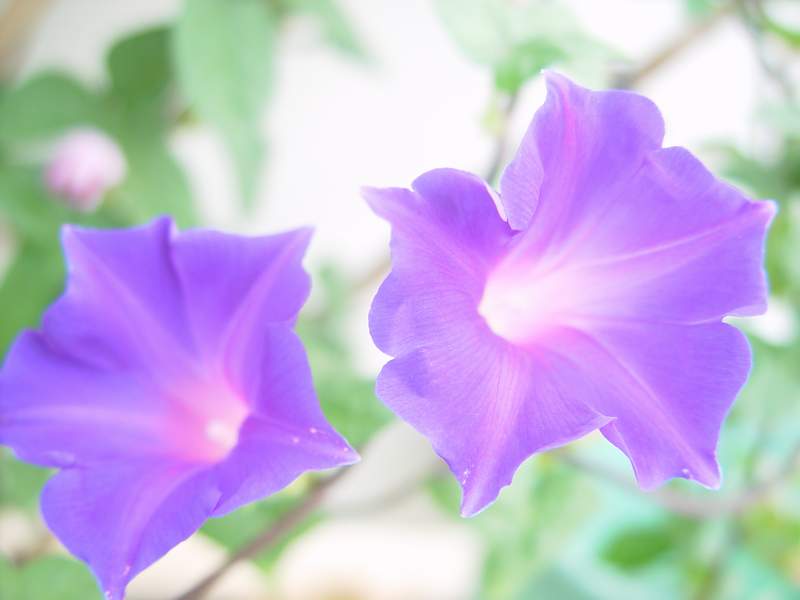 ����,�����������ݱ�ƪ