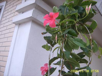 �����еĻ�ǽ:Ʈ���ٿ���