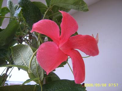 ������Ҳ����һ��