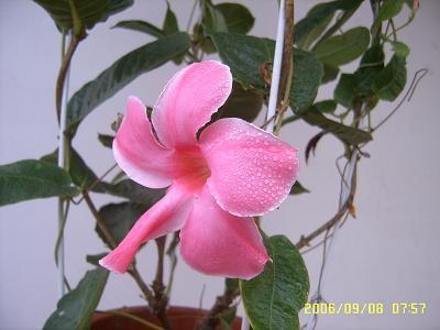 ������Ҳ����һ��