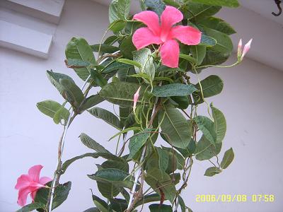 ������Ҳ����һ��