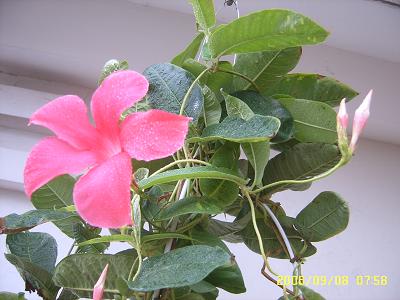 ������Ҳ����һ��