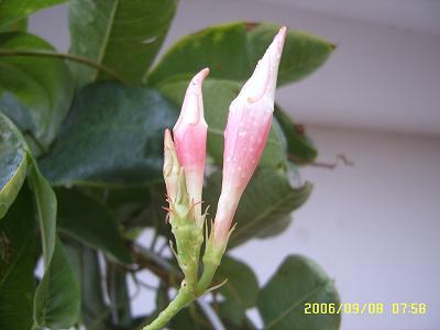 ������Ҳ����һ��