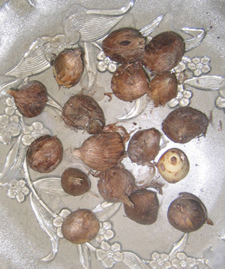 �ﲥҲ���......P13