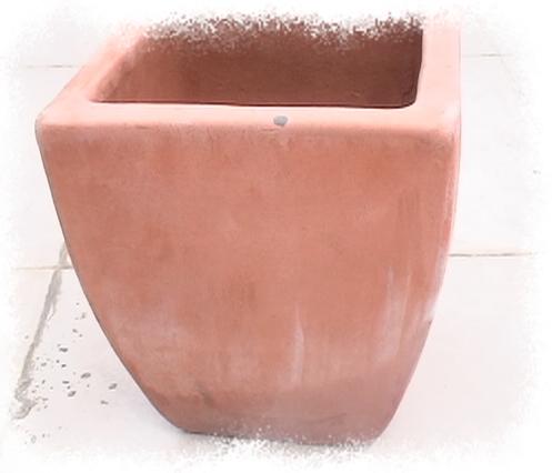 �Ҽҵ�����^..^