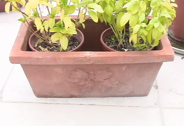 �Ҽҵ�����^..^