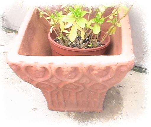 �Ҽҵ�����^..^