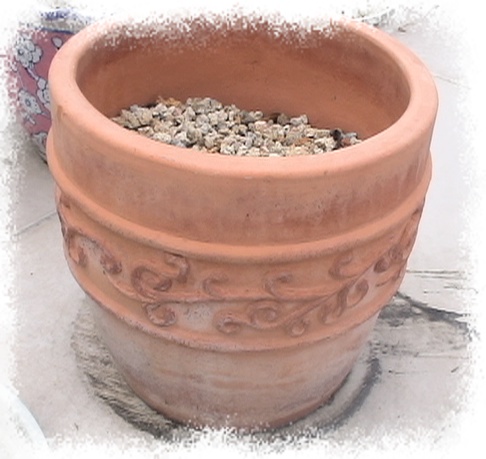 �Ҽҵ�����^..^