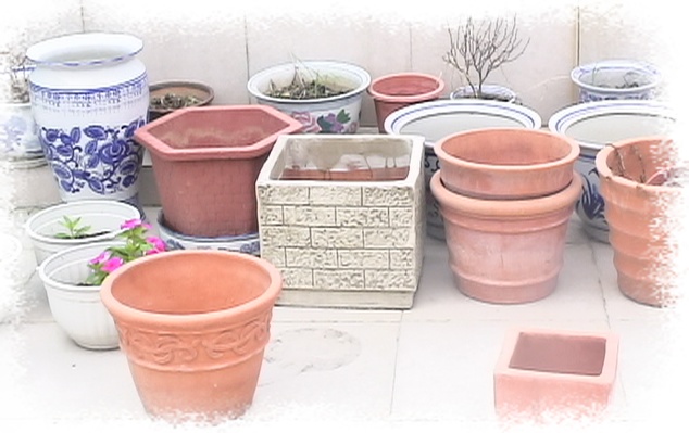 �Ҽҵ�����^..^