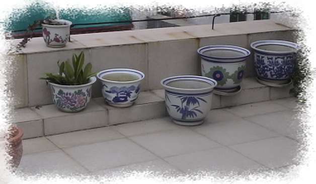 �Ҽҵ�����^..^