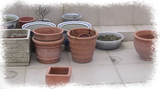 �Ҽҵ�����^..^