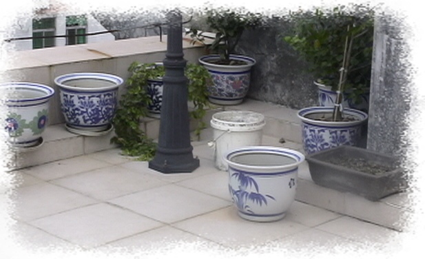 �Ҽҵ�����^..^