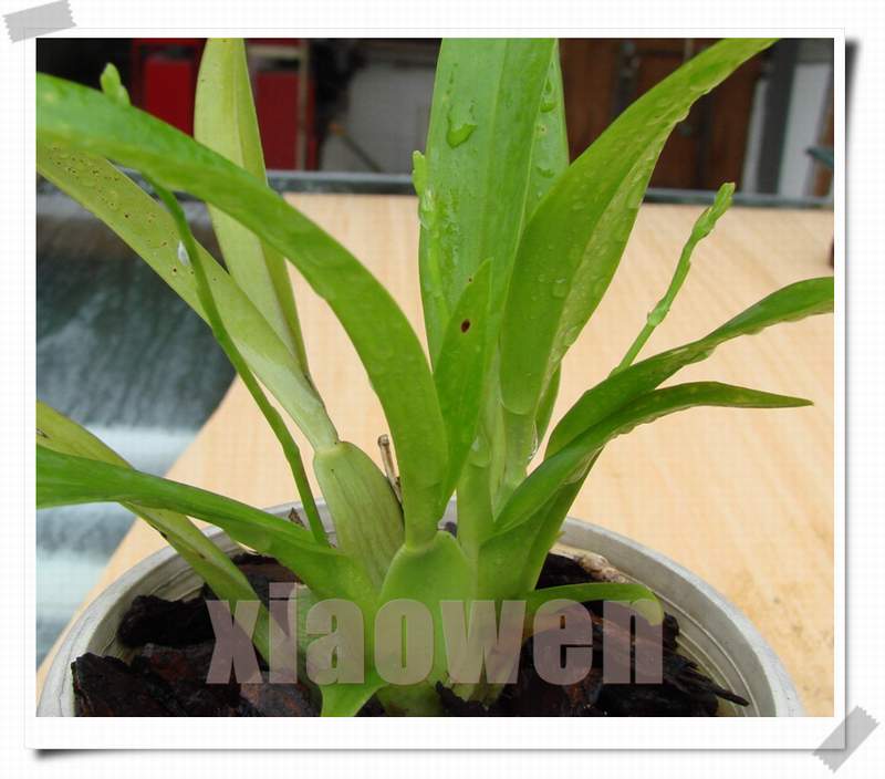 [��ͼ]��ǹС����