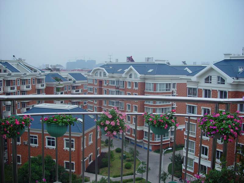 ����,�����������ݱ�ƪ