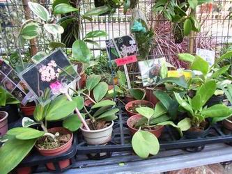 ���ﻹ�и���: