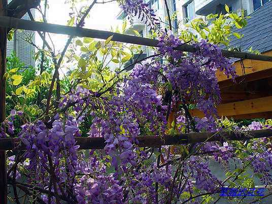 �۷�ܶ࣬������������